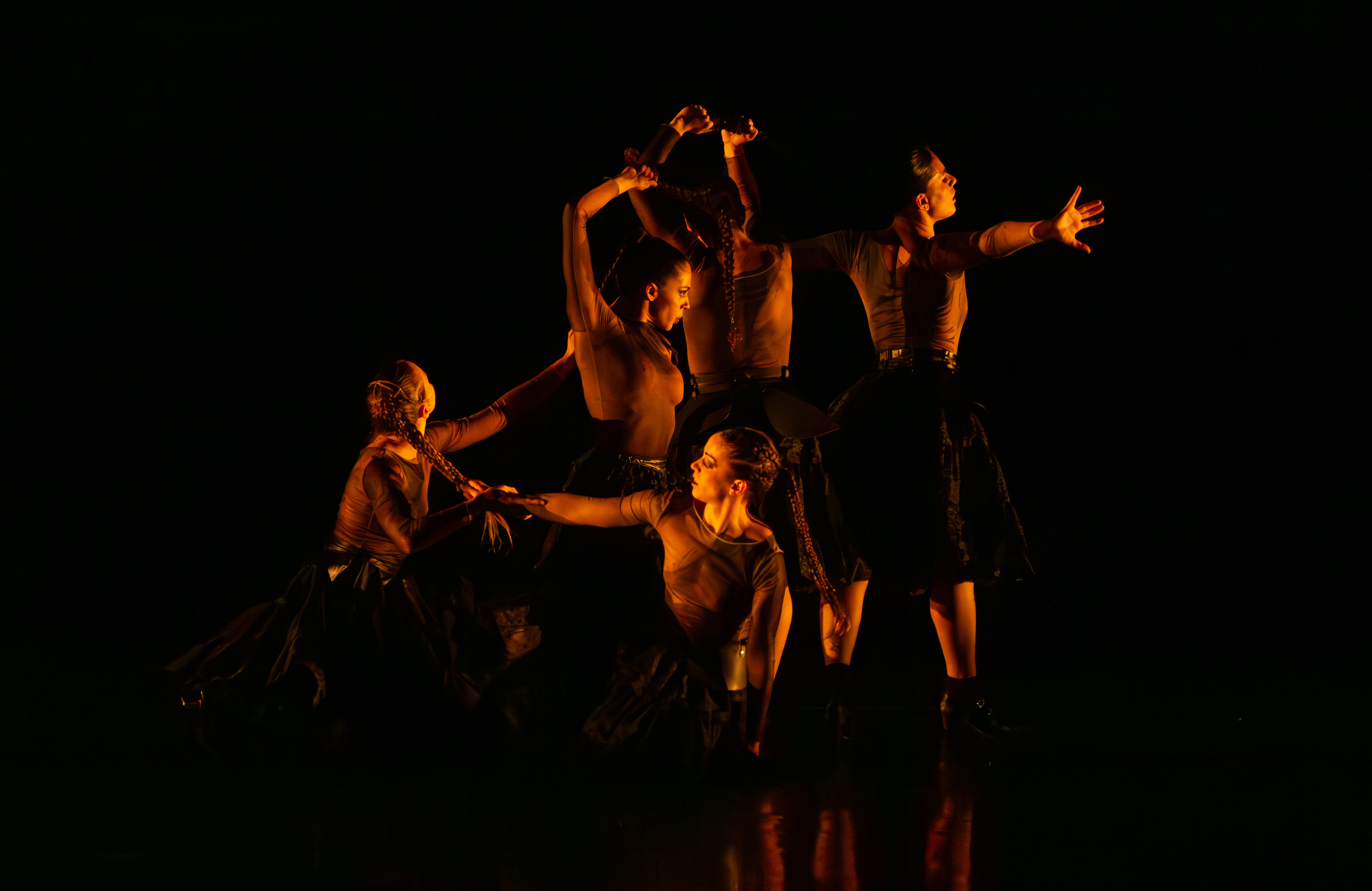 La ternura del caballo negro